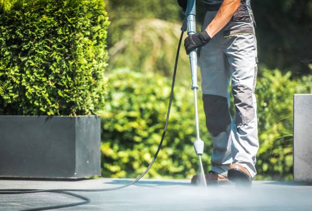 Best Solar Panel Cleaning  in Newberry, SC
